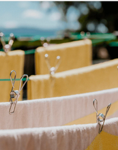 Load image into Gallery viewer, Stainless Steel Clothes Pegs - 16pc